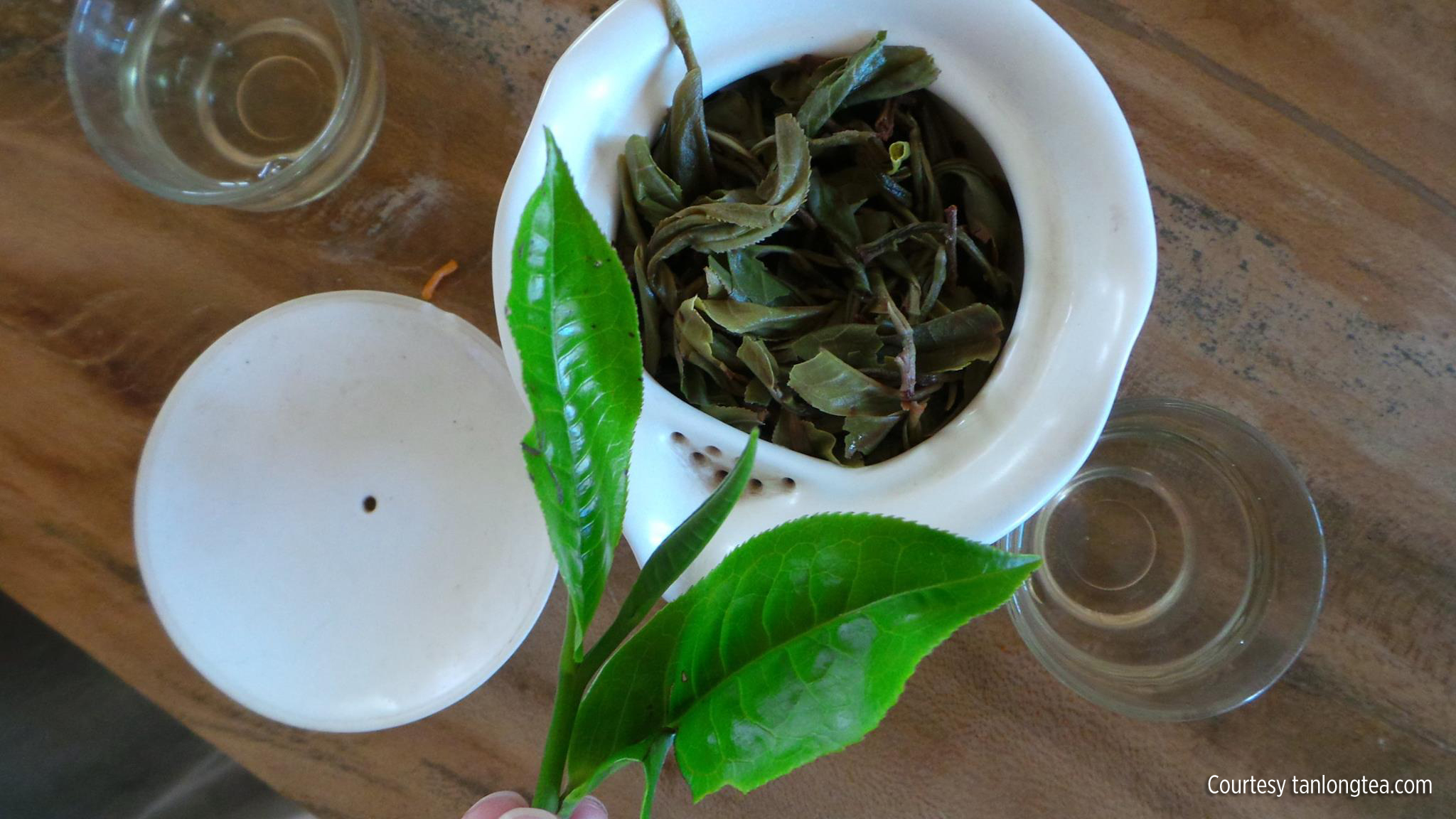 There is no pesticide on these teas.  Being such tall tea trees, it's just impossible to spray pesticides on them.