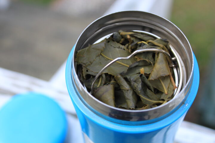 Reviewing The Tea Steeping Tumbler with Tea Infuser