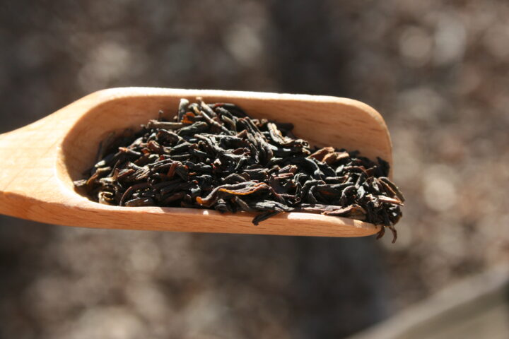 Golden Tips, Jungpana Darjeeling tea, a review
