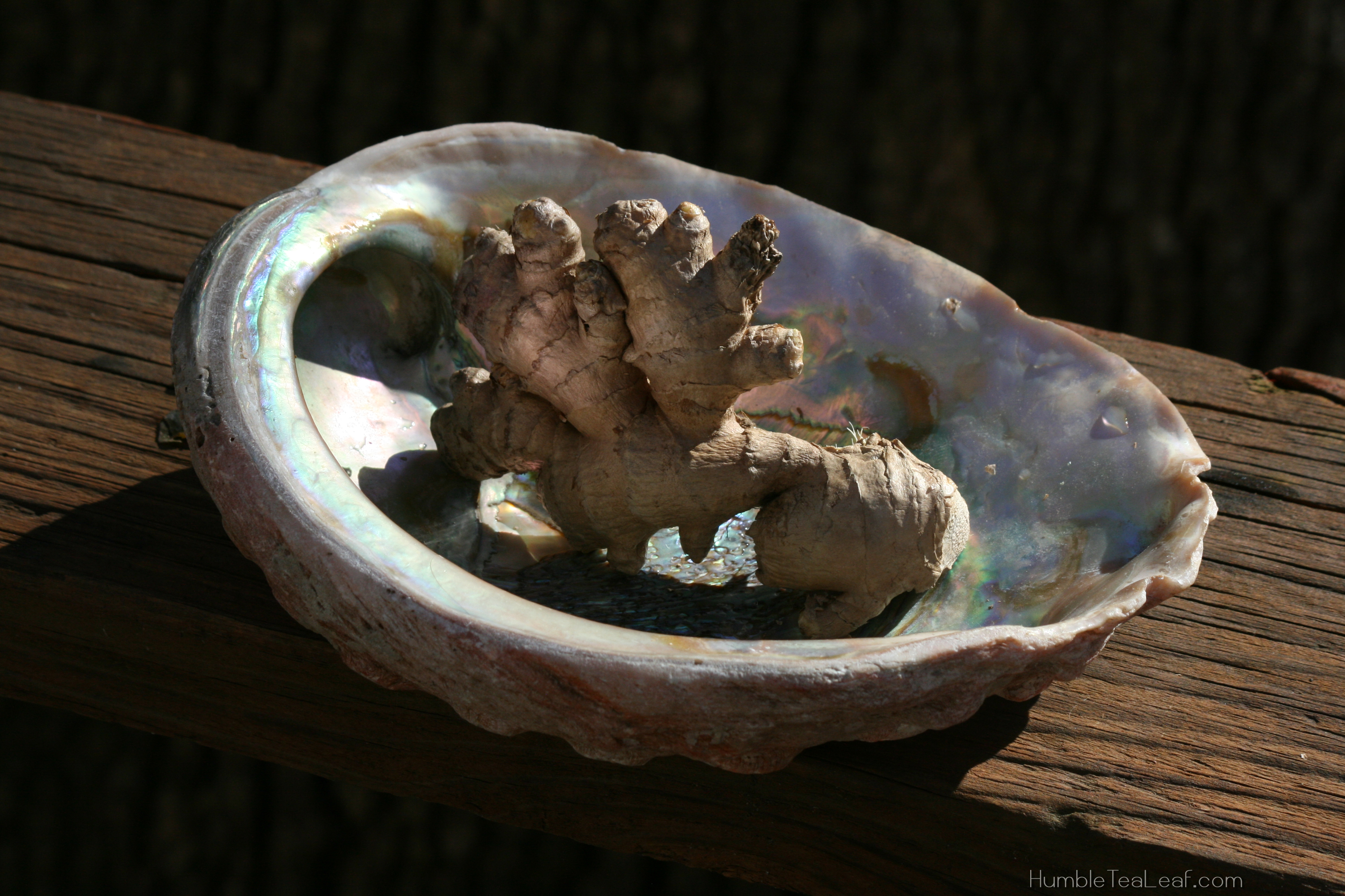 Ginger Root 