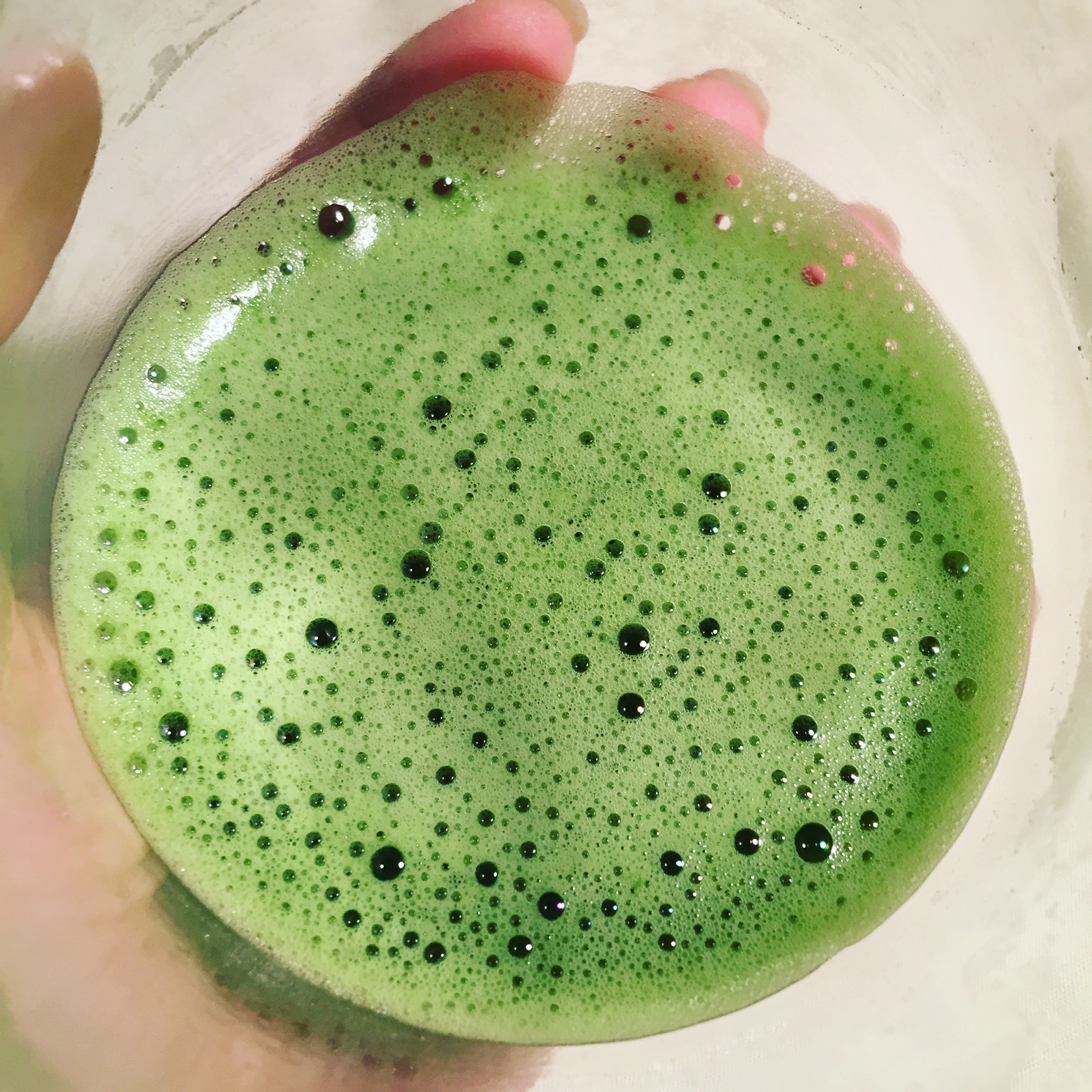 Matcha Tasting