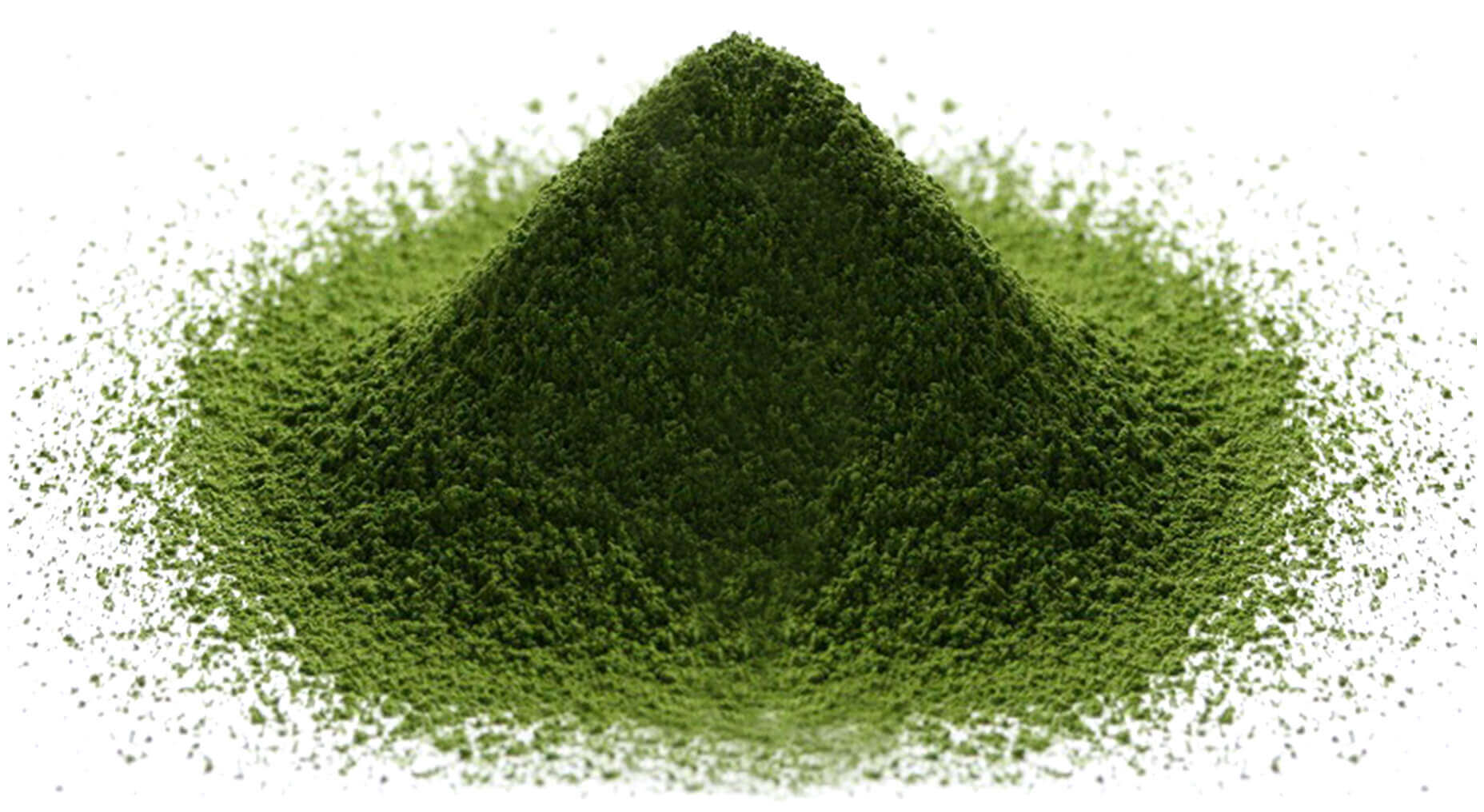 Places Where I Tried Matcha in New York City (Updated 2026)