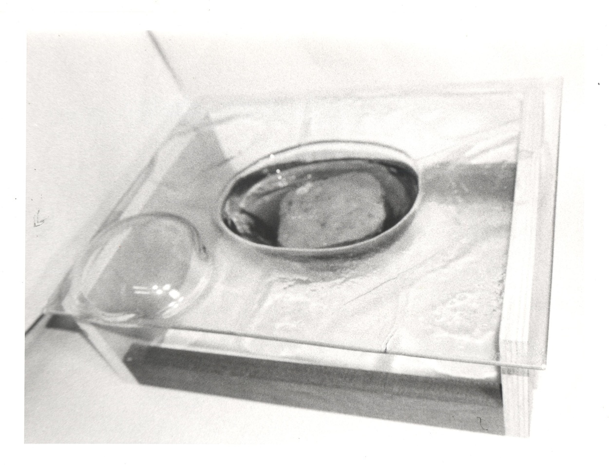 Overview of the Installation for Thermoformed glass sculpture for Kombucha