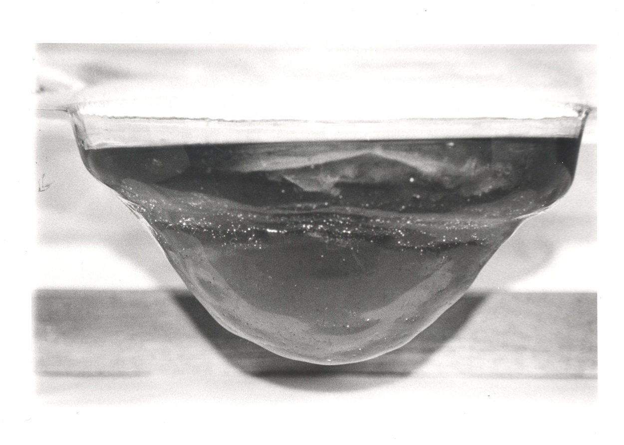 Glass thermoformed sculpture for Kombucha