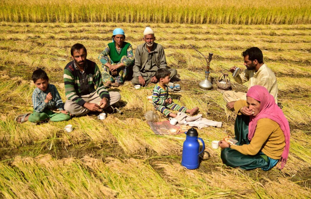 Tea News Digest &ndash; Global Tea Culture and Industry Stories